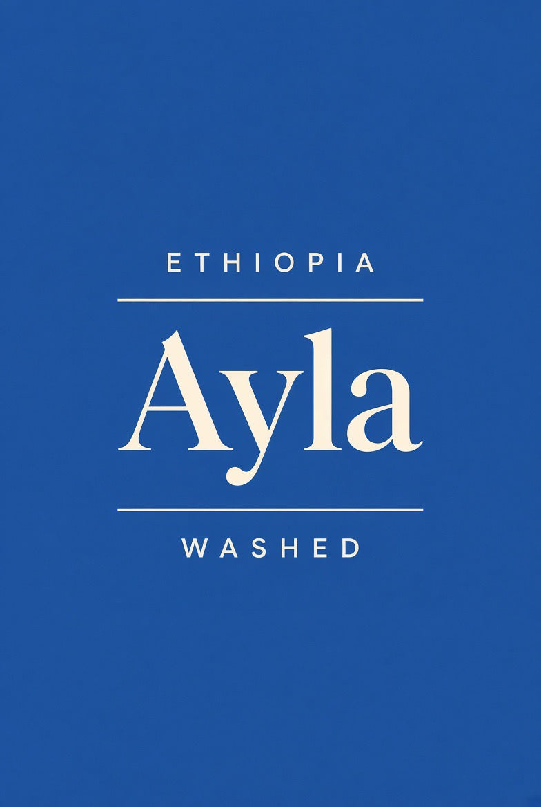 Ethiopia Sidama Ayla