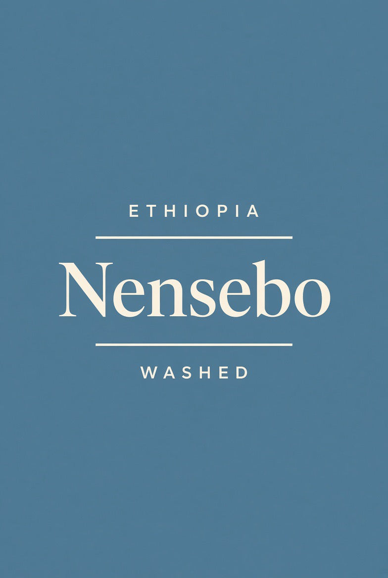 Ethiopia West Arsi Nensebo